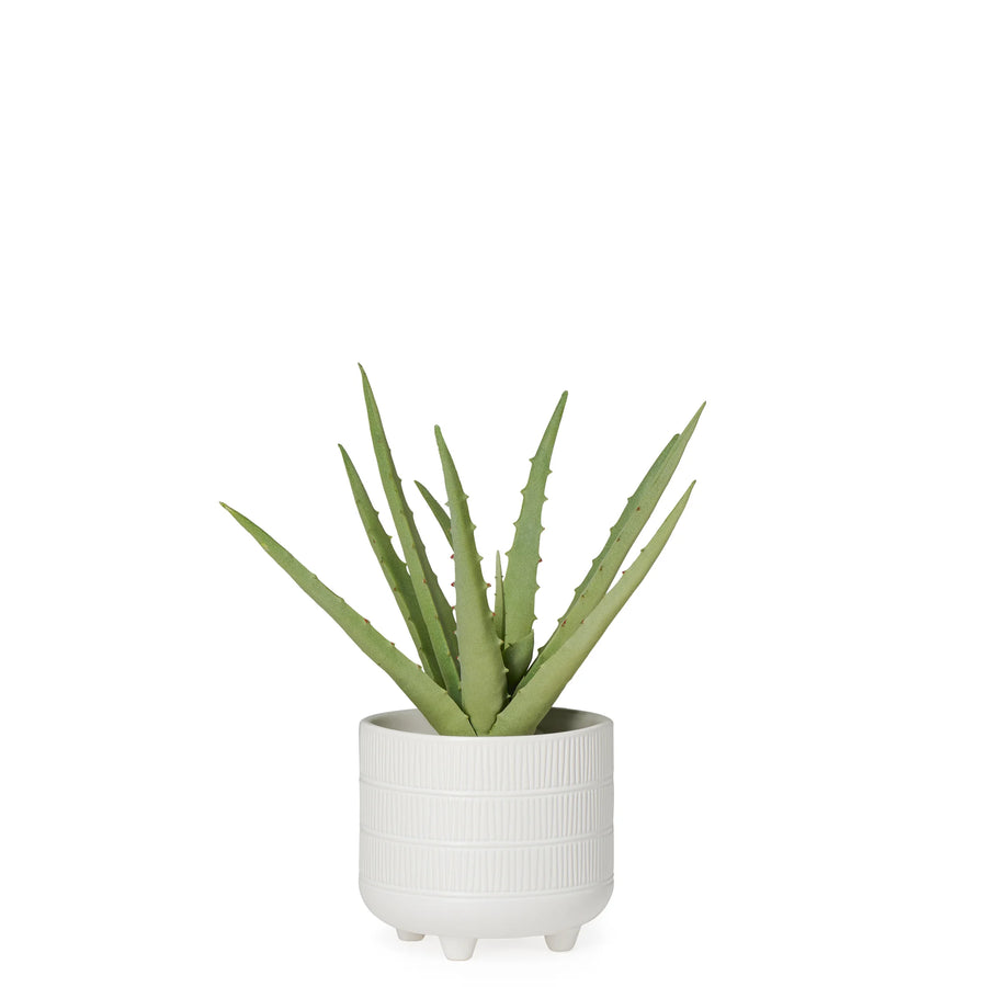 RIVIERA FAUX ALOE SUCCULENT PLANT