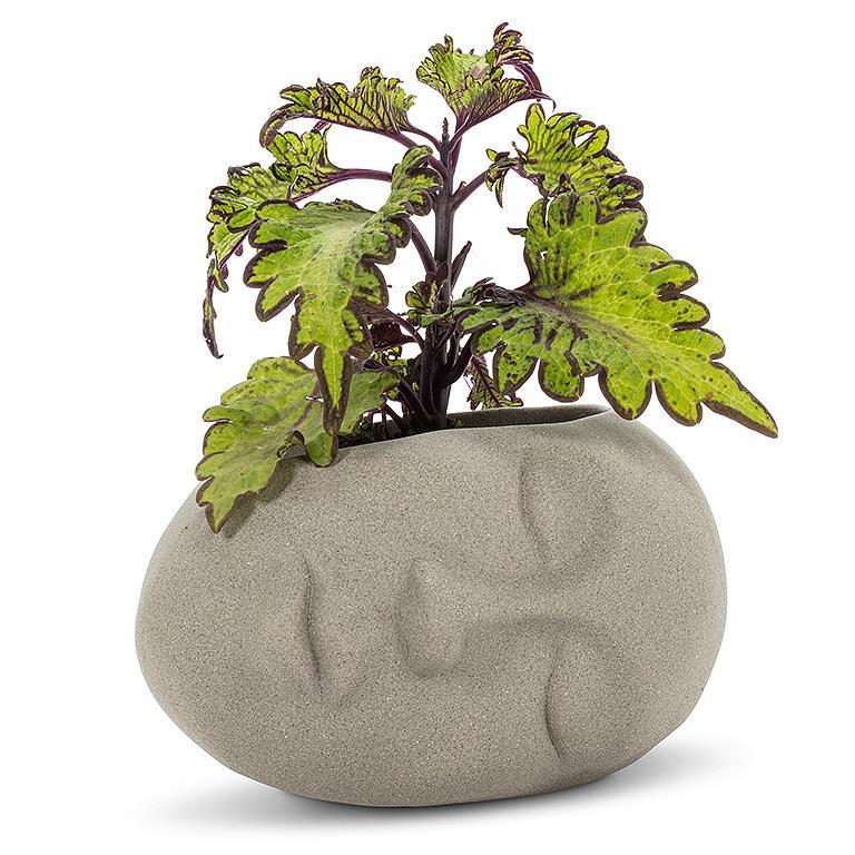 SLEEPING HEAD PLANTER