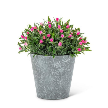 PINK FLOWERING PLANT POT