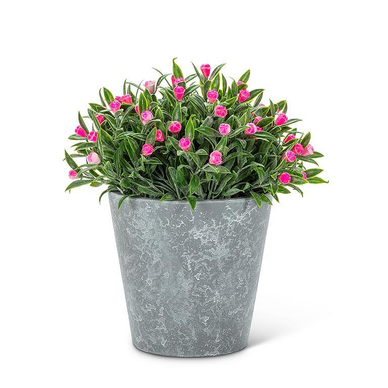 PINK FLOWERING PLANT POT