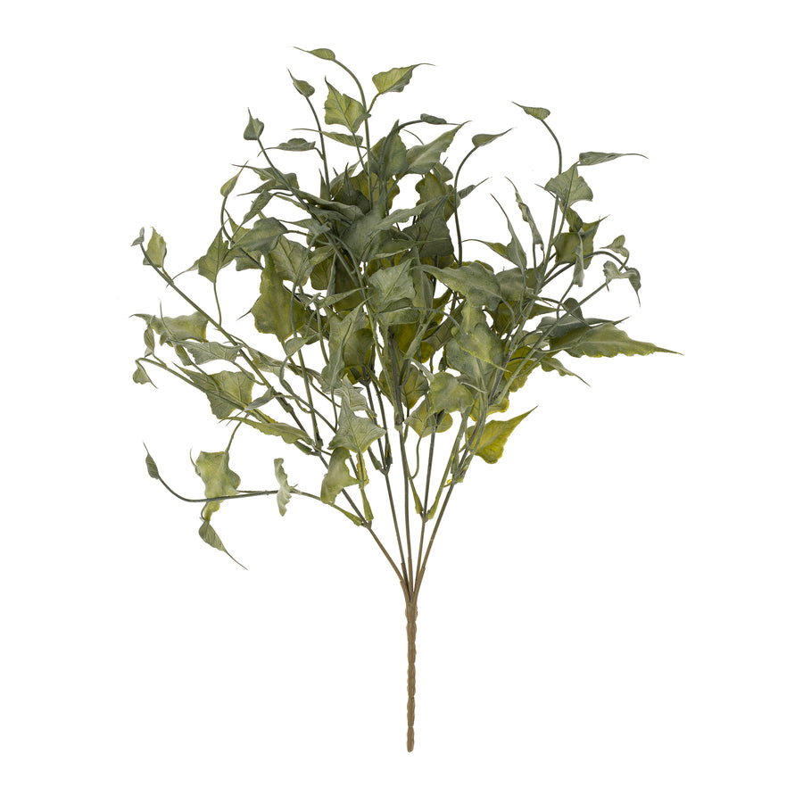 IVY SPRAY