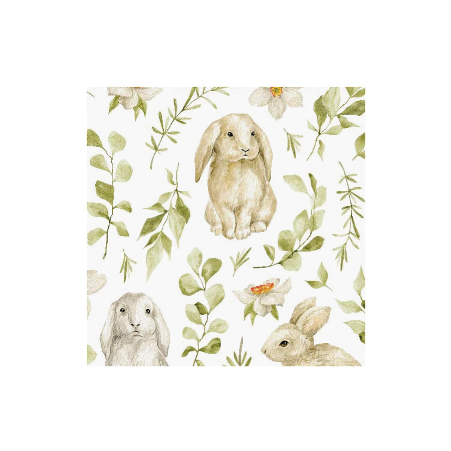 BUNNY REPEAT CNAP