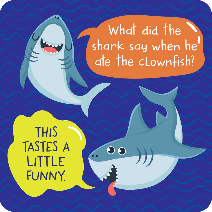 MORE LUNCH BOX JOKES