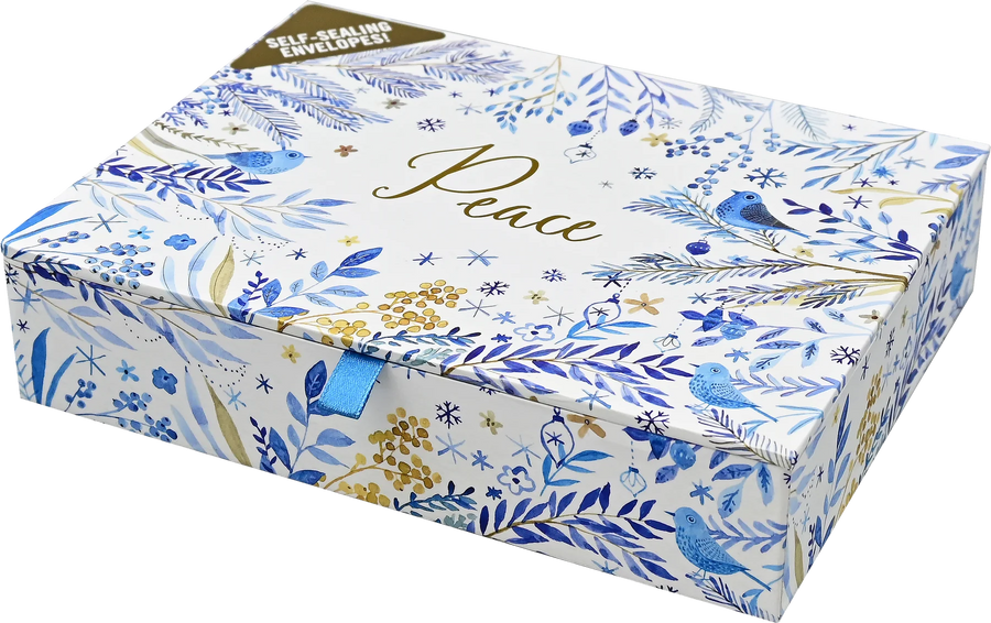 DLX BX - WINTER'S SONG