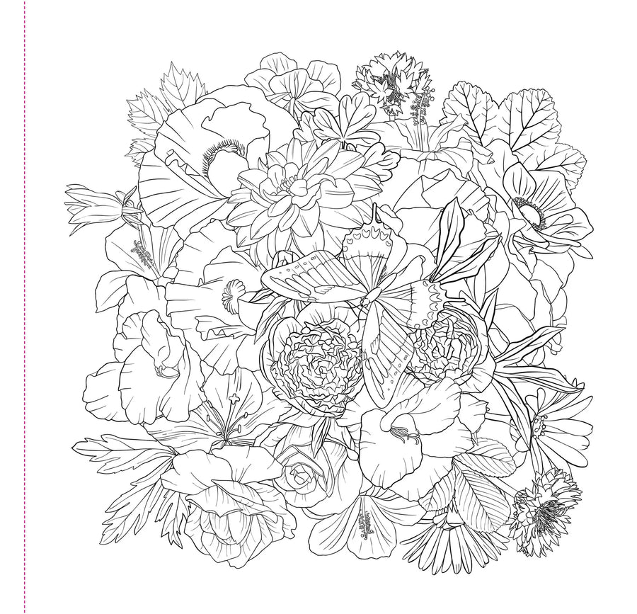 COLOR BOOK WILDFLOWERS
