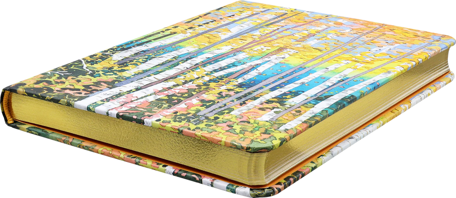 SM JOURNAL - ASPEN FOREST