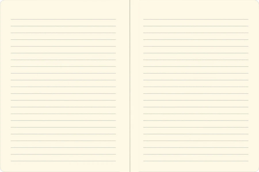 JOURNAL FOR I KNOW THE PLANS