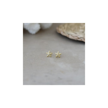 BABY STARFISH STUDS