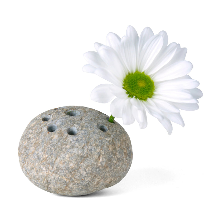 FROG STONE