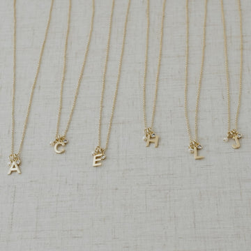 INSIGNIA NECKLACE