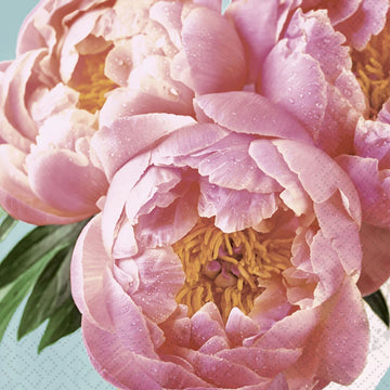 COCKTAIL NAPKIN - PINK PEONY