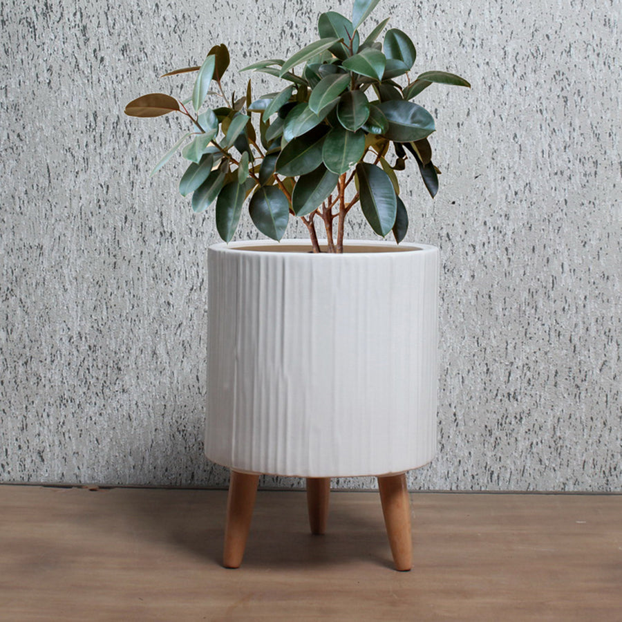EMMA PLANTER