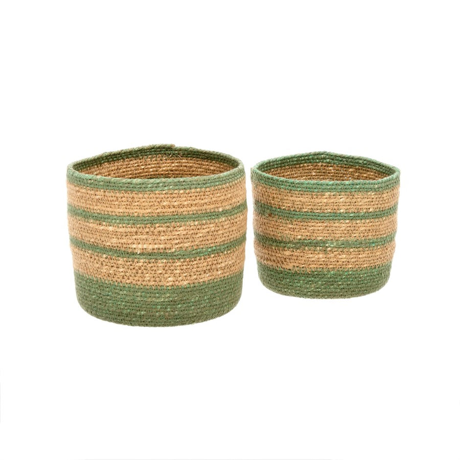 BANDO SEAGRASS POTS