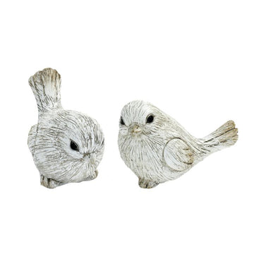 BIRDS