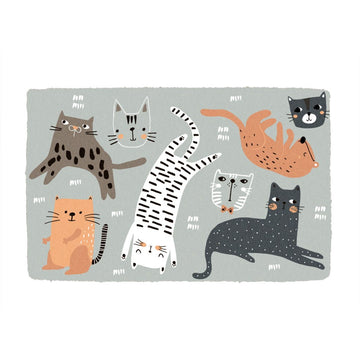 CATS DOOR MAT