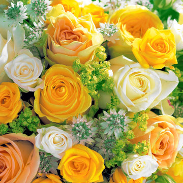 COCKTAIL NAPKIN - BOUQUET OF ROSES