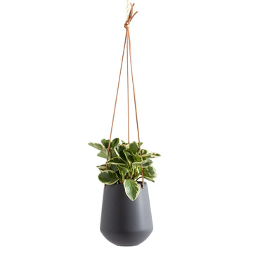 ASHBURY LEATHER HANGING 5.75