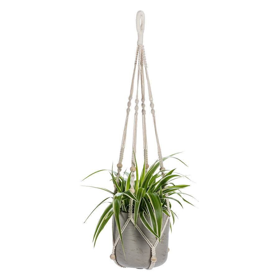 PLANT HANGER/BEADS