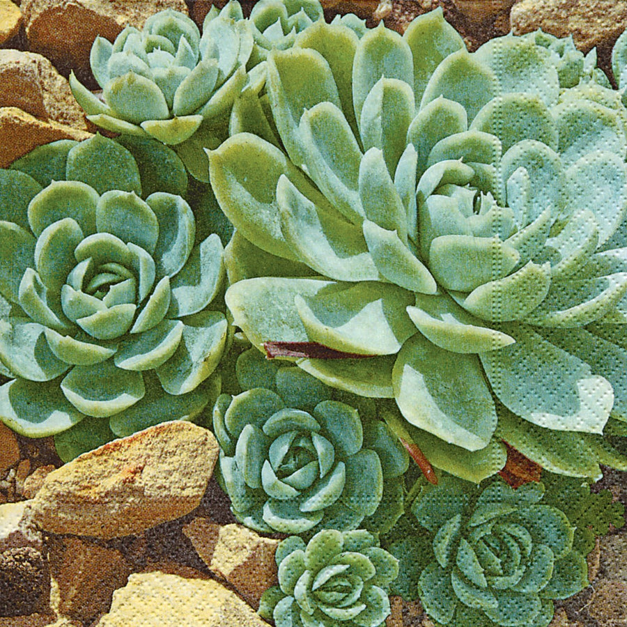 LUNCHEON NAPKIN - DESERT PLANTS