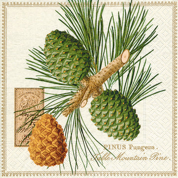 LUNCHEON NAPKIN - MOUNTAIN PINE