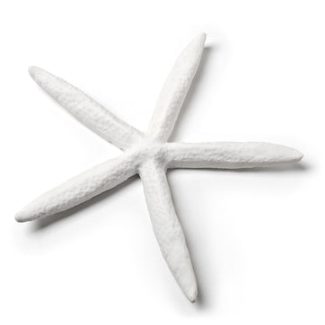 SIMPLE STARFISH 6