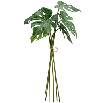 MONSTERA LEAF BUNDLE