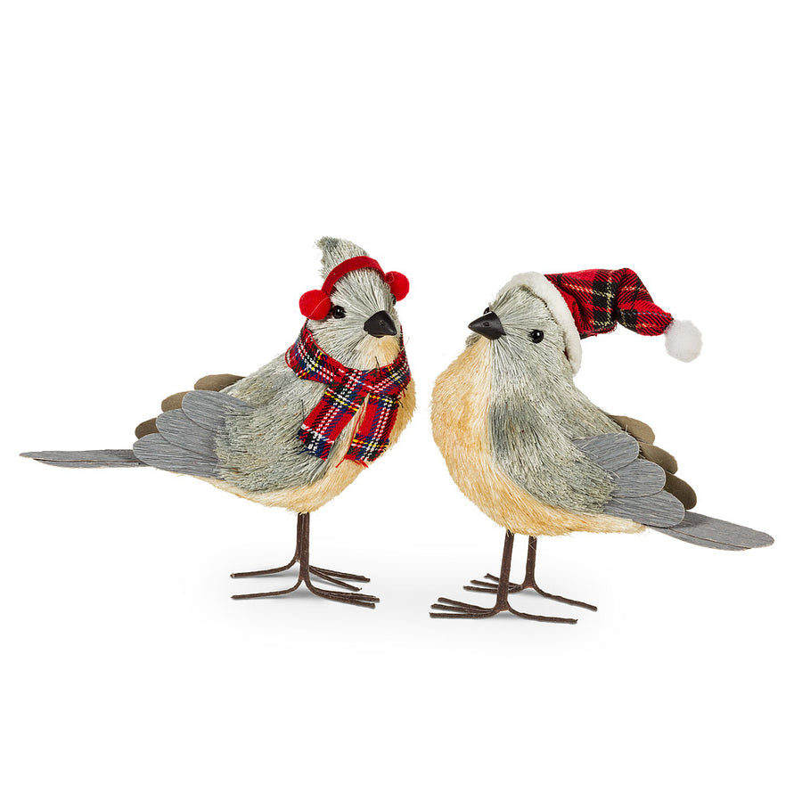 WINTER DRESSED BIRDS