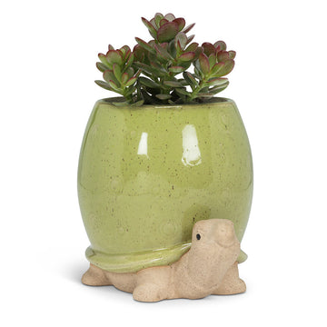 TURTLE PLANTER
