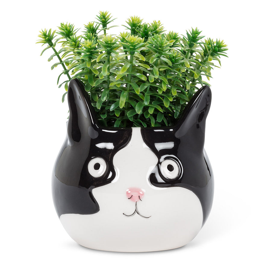 LG CAT HEAD PLANTER