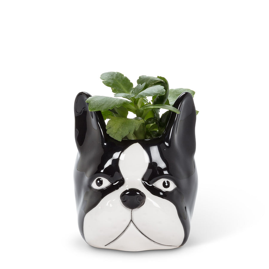 DOG HEAD PLANTER SM