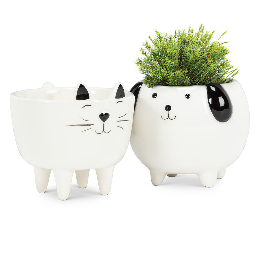 SM DOG/LEGS PLANTER