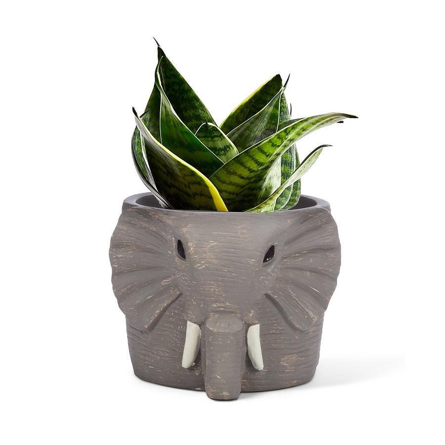 GREY ELEPHANT PLANTER