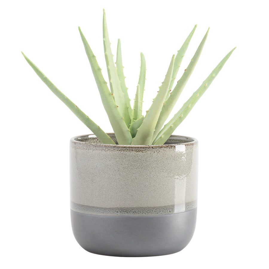 TOLO TWO TONE DROP POT PLANTER