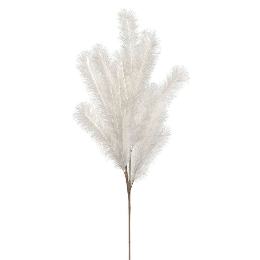 DESERT FEATHER PAMPAS WHITE