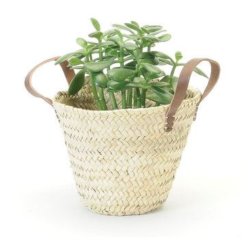 STRAW PLANTER