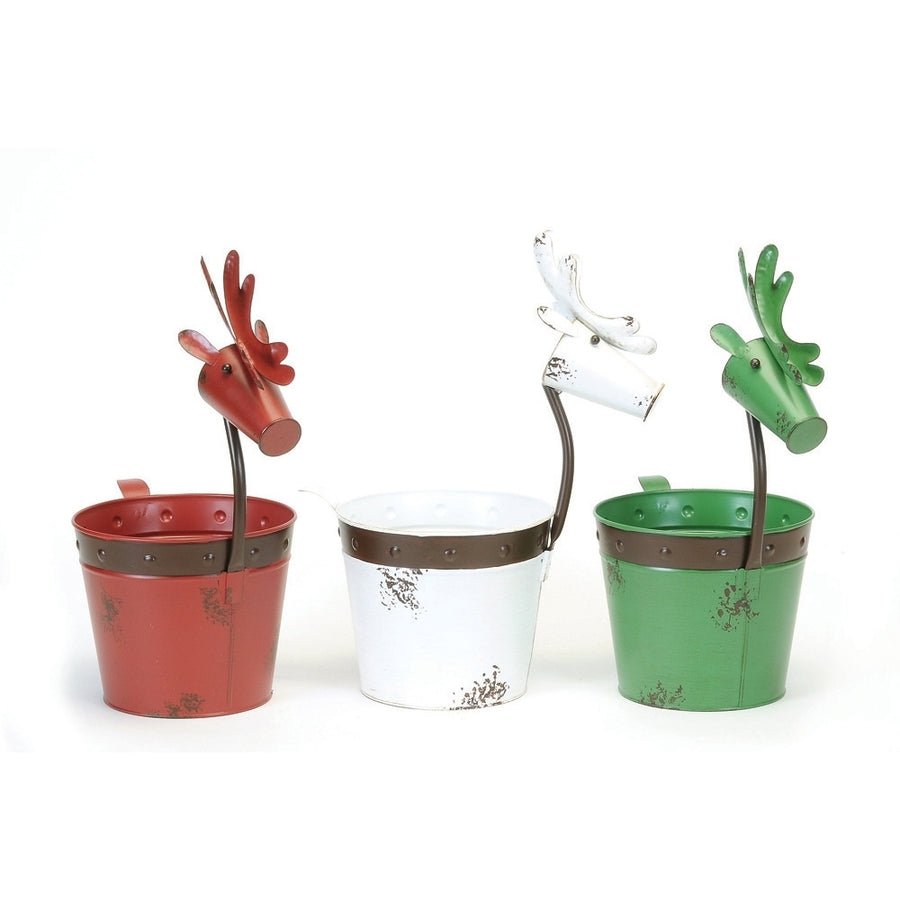 REINDEER POT