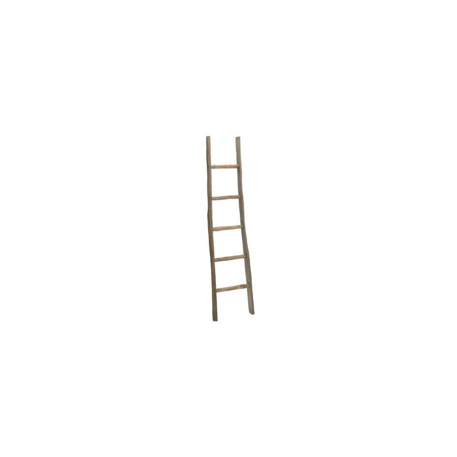 LADDER X60