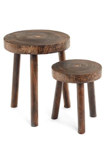 PAULOWNIA STOOL