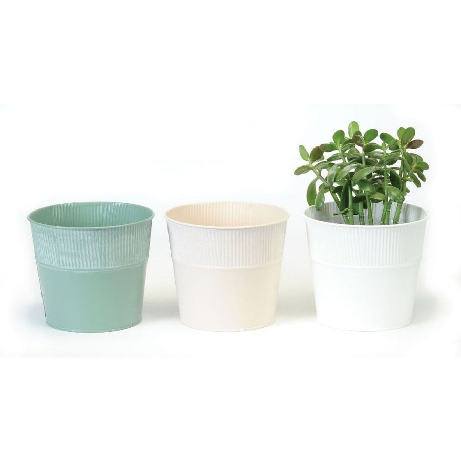RIBBED TOP POTS