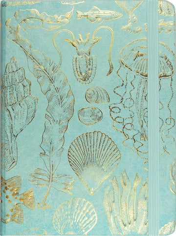 JOURNAL - SEALIFE SKETCHES