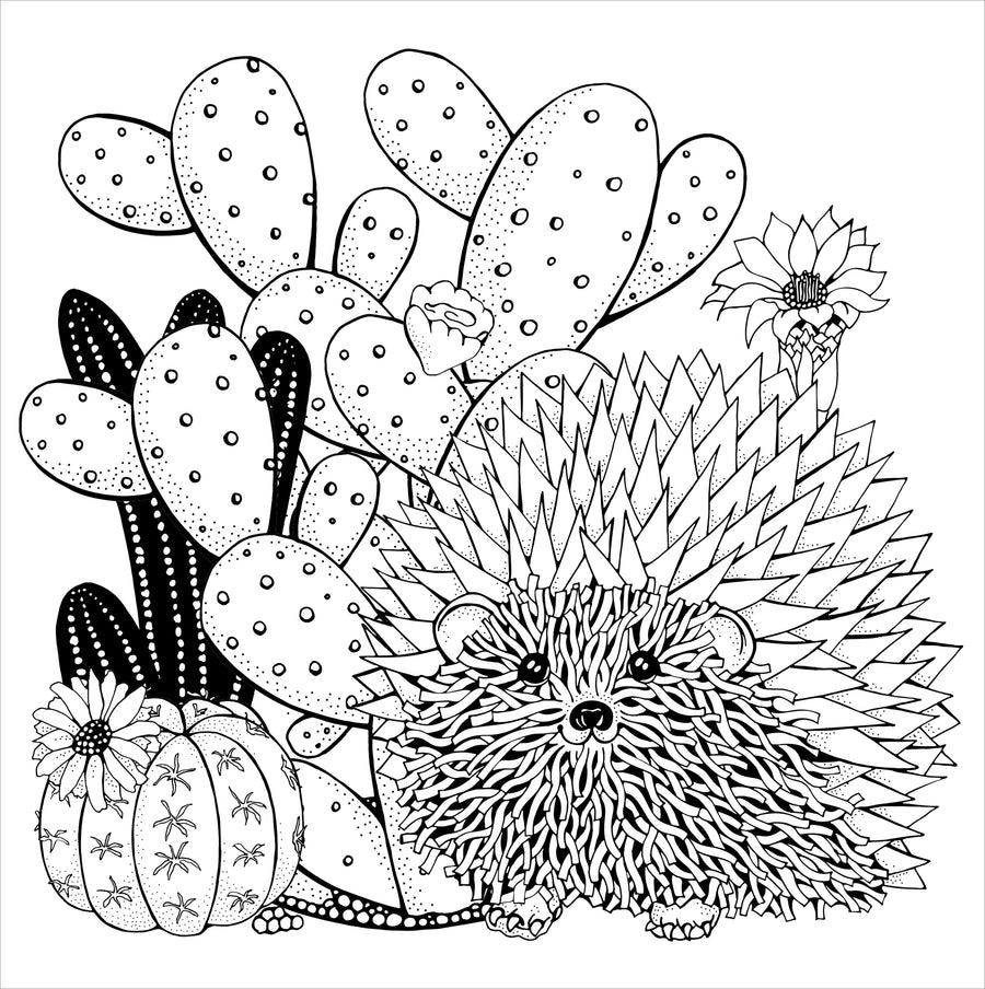 COLOR BOOK SUCCULENTS