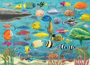 PUZZLE - ALL THE FISH