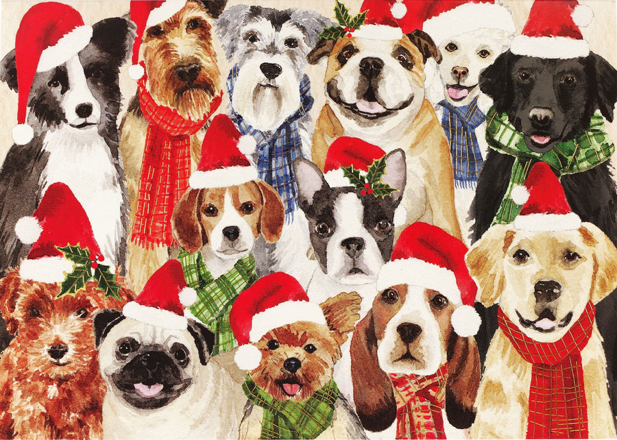 HOLIDAY CARDS DECK THE DOGS