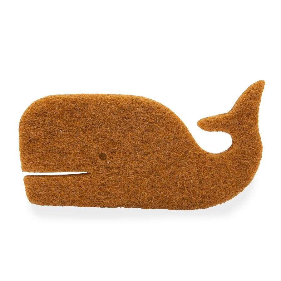 SCRUB SPONGES