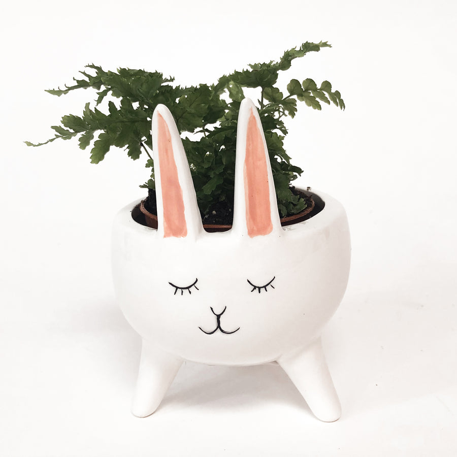 SMALL RABBIT PLANTER