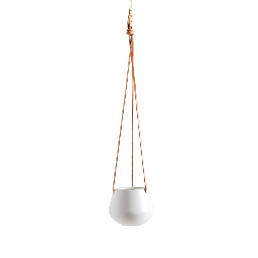 ASHBURY LEATHER HANGING 5