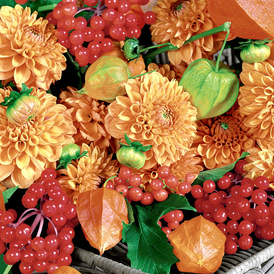 COCKTAIL NAPKIN - FLOWERS AND FRUITS
