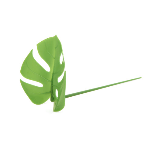 MONSTERA PARTY PICKS